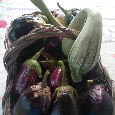 Agri Bertorella Кунео Экстерьер фото