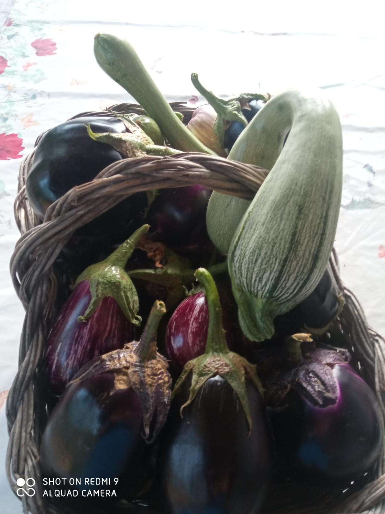 Agri Bertorella Кунео Экстерьер фото